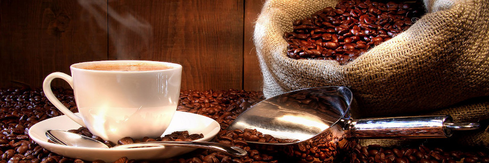 Organo Gold au Québec - Café Organo Gold